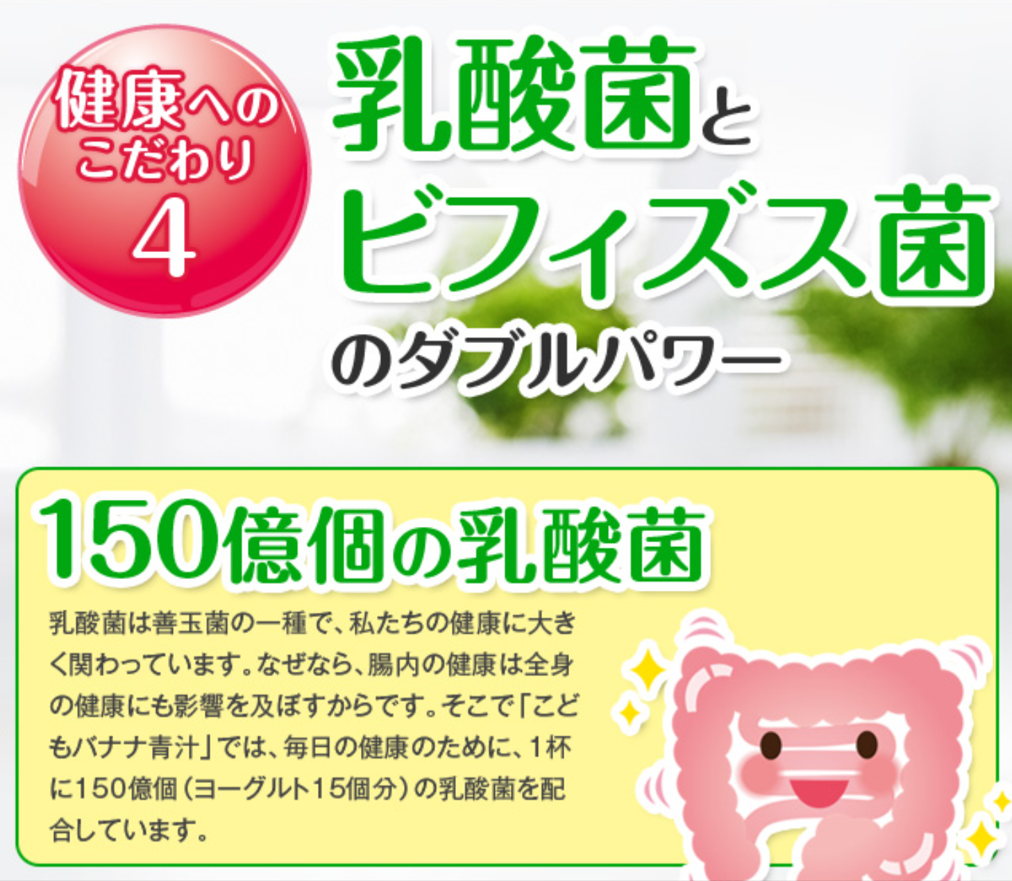 こどもバナナ青汁7