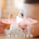 ファーストスプーン5